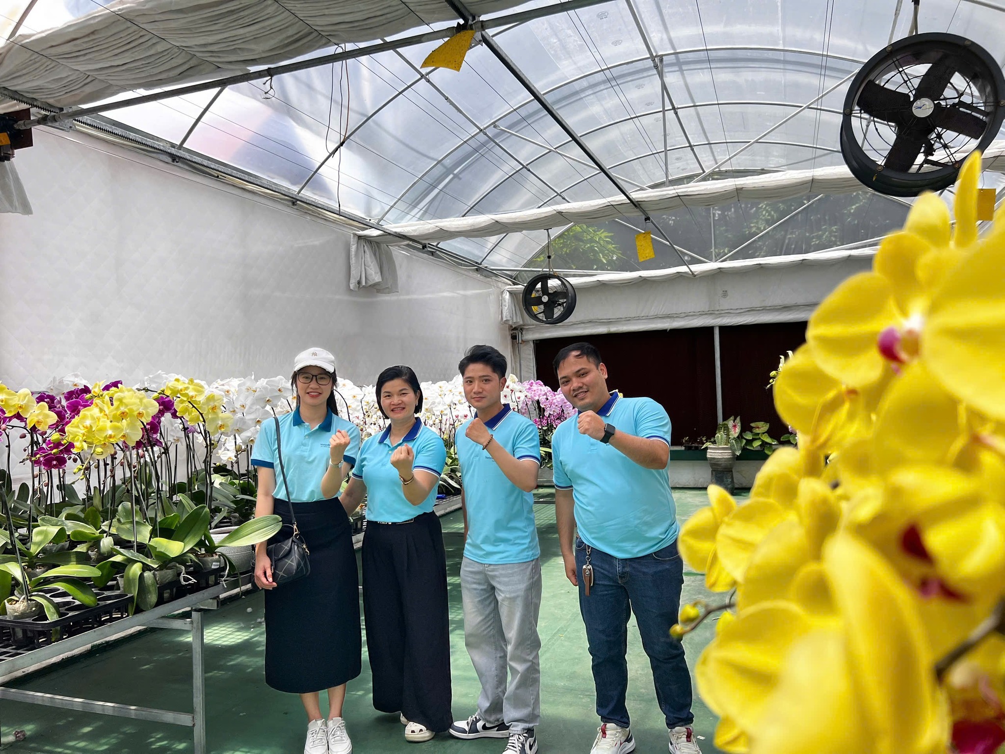 Mẫu Đơn Đỏ